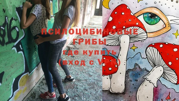 гидропоника Абаза