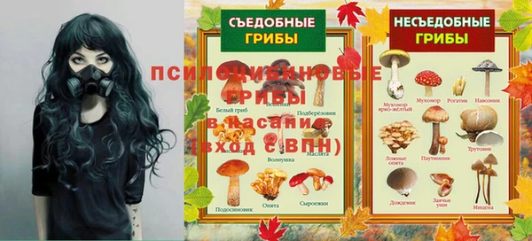 гидропоника Абаза