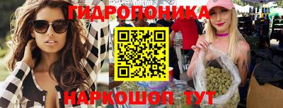 хмурый Кингисепп