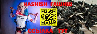 хмурый Кингисепп