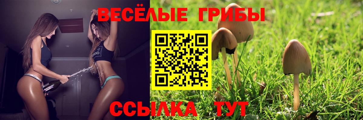 Псилоцибиновые грибы прущие грибы  Вход с VPN  Мирный 