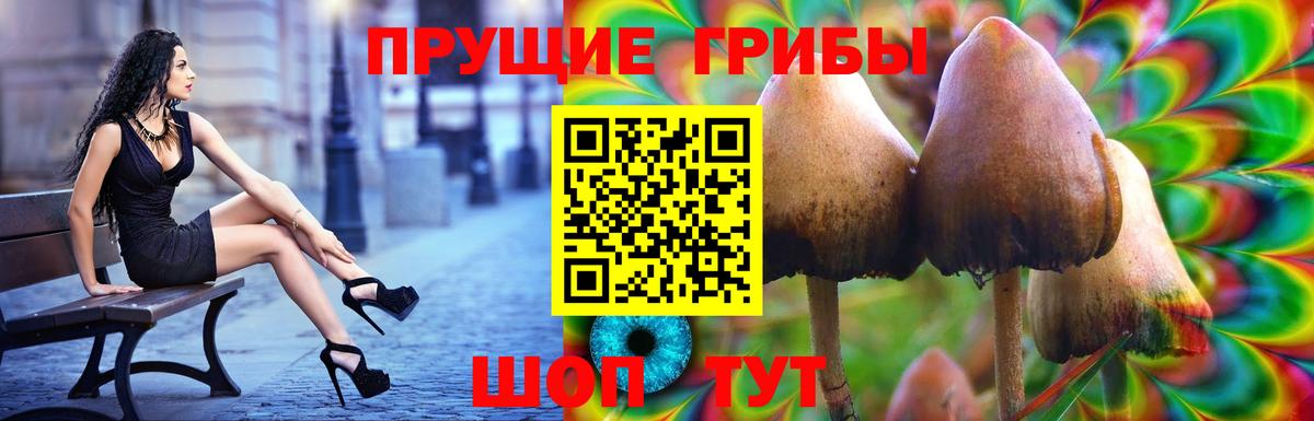 Галлюциногенные грибы мухоморы Мирный